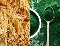 sea moss vs. spirulina